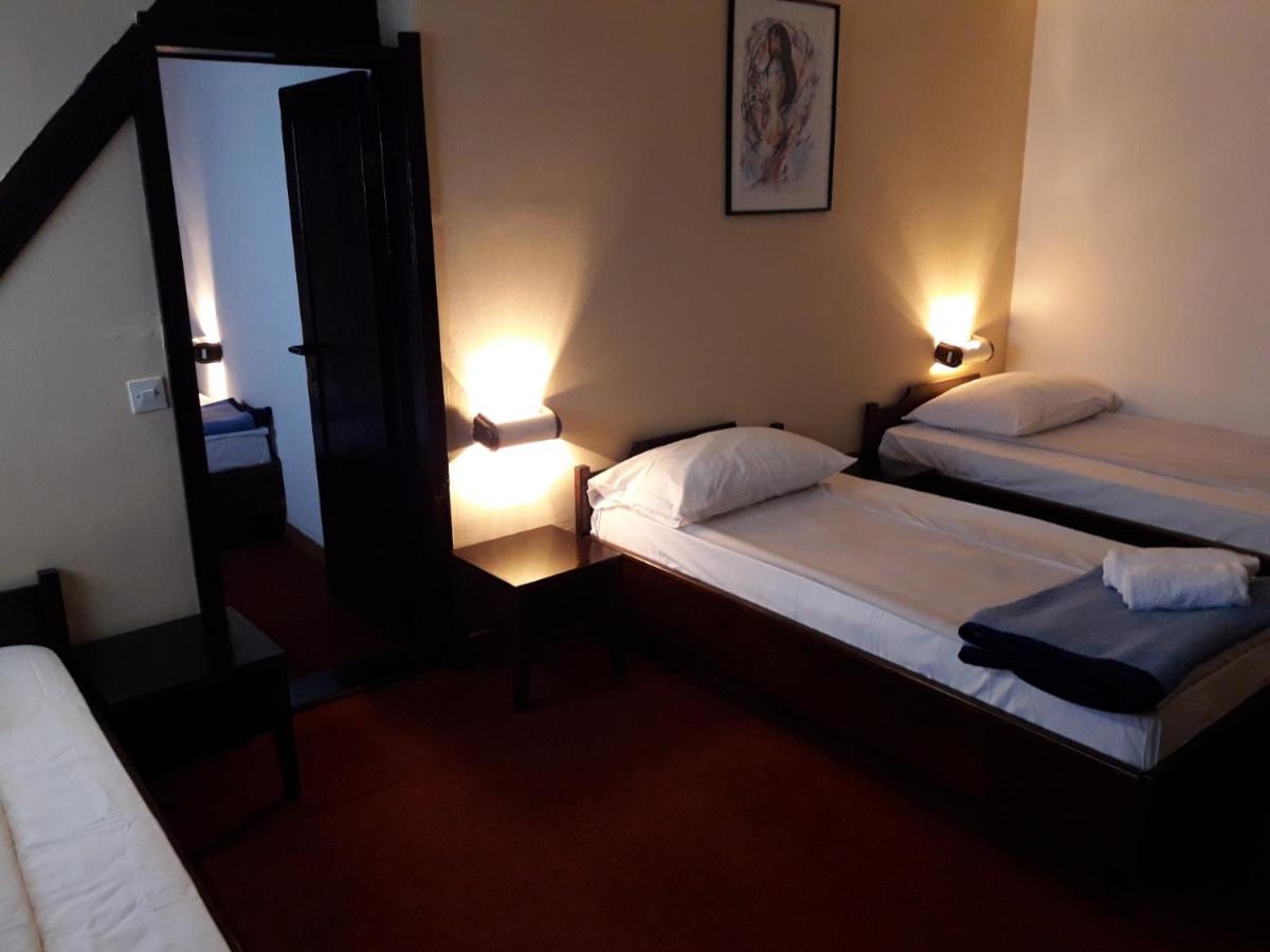 Hotel Olga Dedijer 科帕奥尼克 外观 照片