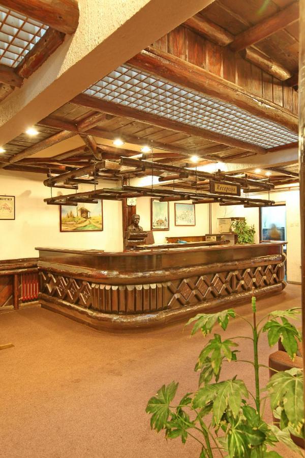 Hotel Olga Dedijer 科帕奥尼克 外观 照片